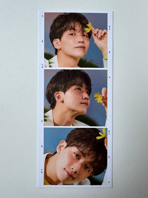 Seventeen 'SECTOR 17' Album - Official Post Cards/Misc Inclusions
